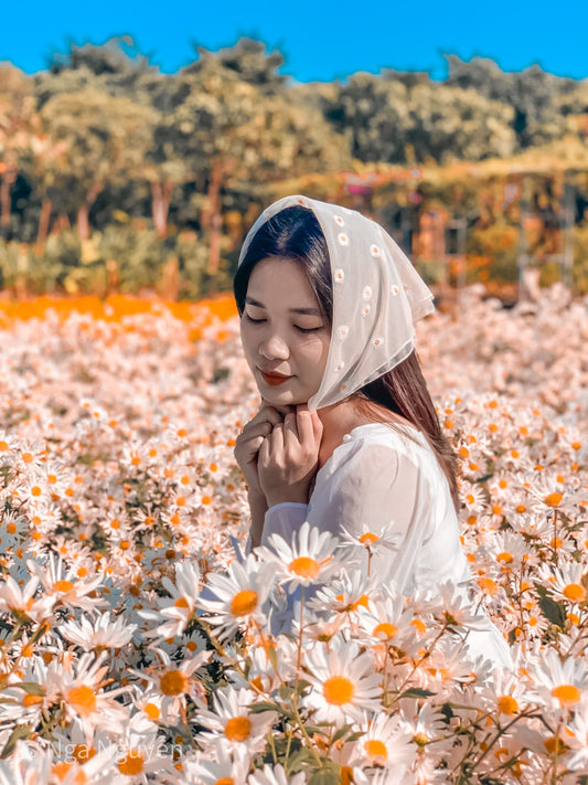 blog 6